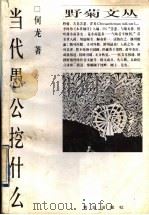 当代愚公挖什么 1997 PDF电子版封面 7543616793 何龙著