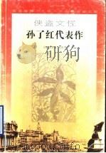 侠盗文怪孙了红代表作（1996 PDF版）