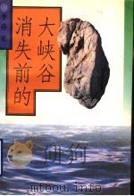 消失前的大峡谷 1995 PDF电子版封面 7506308398 李乔亚著
