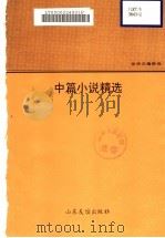 张炜名篇精选  中篇小说精选（ PDF版）