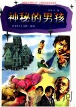 神秘的男孩 1997 PDF电子版封面 7542816535 (美)汤姆·瑞米原著;刘俊改编;邓瑞兴绘图