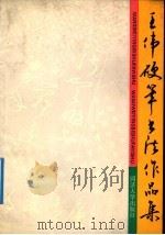 王伟硬笔书法作品集 1991 PDF电子版封面 7560809073 王伟编著