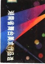 湖南省舞台美术作品选 1983 PDF电子版封面 8233·321 湖南省文化局艺术处,湖南美术出版社编