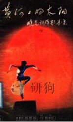 黄河上的太阳 晓光词作歌曲选 1987 PDF电子版封面 7532900258 陈晓光作词