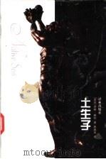 土生子 1999 PDF电子版封面 7805679703 (美)理查·赖特(Richard Wright)著;施咸荣译