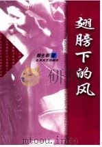 翅膀下的风 1999 PDF电子版封面 7537819661 郭生彩著