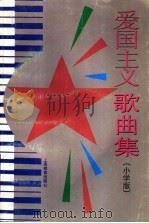 爱国主义歌曲集 小学版 1995 PDF电子版封面 7532043878 华萍编