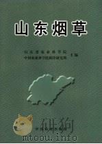 山东烟草 1999 PDF电子版封面 7109054152 山东省农业科学院,中国农业科学院烟草研究所主编