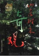 山东树木奇观 1998 PDF电子版封面 7533121139 李滋林主编
