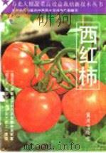 西红柿 1994 PDF电子版封面 7805585385 常连海,邵树策,刘明杰主编;朱振华,邵树策编著