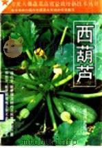 西葫芦 1994 PDF电子版封面 7805585423 常连海,邵树策,刘明杰主编;刘效增,邵树策编著