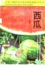 西瓜（1994 PDF版）