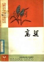 高粱 1978 PDF电子版封面 16195·2 武恩吉,张学宁编