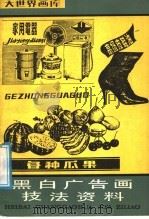 黑白广告画技法资料   1988  PDF电子版封面  7805121850  汪新编绘 