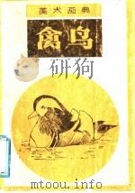 禽鸟 1988 PDF电子版封面 7530501321 薛世等编绘