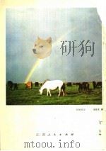 光与影 第4辑 1982 PDF电子版封面 8100·6·008 江苏人民出版社编辑