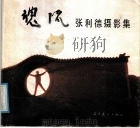 魂流 张利德摄影集 1991 PDF电子版封面 7531408856 张利德摄