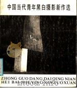 中国当代青年黑白摄影新作选 1987 PDF电子版封面 7541000078 江汀等摄