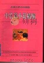 中长篇小说精缩（1996 PDF版）