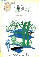 魔沼 1992.03 PDF电子版封面 7539607882 白嗣宏主编