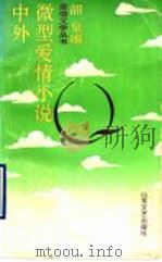 中外微型爱情小说 1990 PDF电子版封面 7532904385 韶泉编