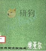 维亚尔 1984 PDF电子版封面 8081·13147 (法)维亚尔绘