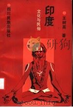 印度文化与民俗 1989 PDF电子版封面 7540903368 王树英著