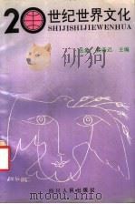20世纪世界文化 1994 PDF电子版封面 7220023103 张象,黄若迟主编