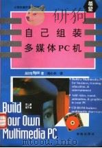 自己组装多媒体PC机 1994 PDF电子版封面 7507708225 Aubrey Pilgrim著;阎小兵译