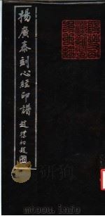 杨广泰刻心经印谱 1988 PDF电子版封面 7501304521 杨广泰著