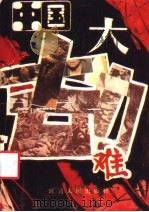 中国大劫难 1994 PDF电子版封面 7805089922 陈家桢编著