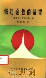 燃起金色的希望 1987 PDF电子版封面 10345·014 (孟加拉)艾尔沙德著;陶国臣译
