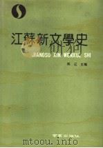 江苏新文学史 1990 PDF电子版封面 7805600767 陈辽主编
