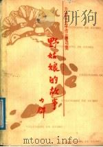 野姑娘的故事 力群文学作品选集 1987 PDF电子版封面 7560200907 力群著;齐凤阁编