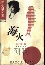 徐小斌文集 第3卷 海火 1998 PDF电子版封面 7801421043 徐小斌著