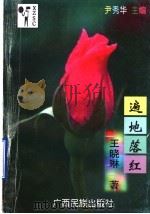 遍地落红 1997 PDF电子版封面 7536332416 王晓琳著