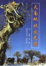 天南地北风光录 1997 PDF电子版封面 7563109099 (中国)星汉,(马来西亚)黄玉奎著