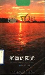 沉重的阳光 1990 PDF电子版封面 7500805942 秦岭著