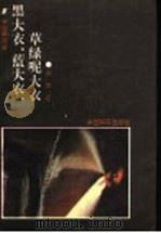 黑大衣蓝大衣草绿呢大衣 1991 PDF电子版封面 7800375145 朱赤著