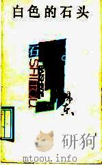 白色的石头 1992 PDF电子版封面 7532108813 韩东著