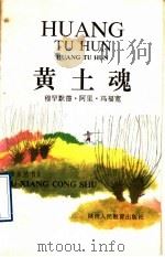 黄土魂 1992 PDF电子版封面 7541926841 冯福宽著