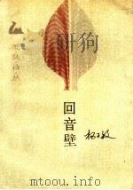 回音壁   1989  PDF电子版封面  7503904208  杨子敏著 
