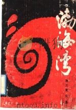 渤海湾 第3集 风暴 1988 PDF电子版封面 7503806951 高恩才著