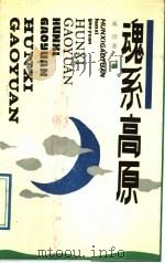 魂系高原 1989 PDF电子版封面 7530600265 闻频著