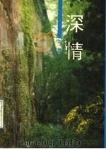 深情 1993 PDF电子版封面 750591720X 刘欣著