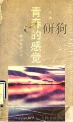 青春的感觉 1993 PDF电子版封面 7805708797 王禹著
