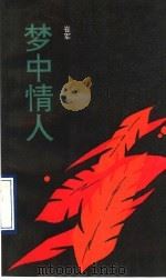 梦中情人（1993 PDF版）
