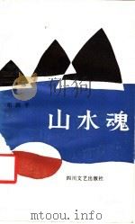 山水魂 1988 PDF电子版封面 7541101974 邓洪平著
