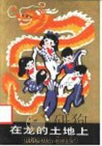 在龙的土地上 1988 PDF电子版封面 7530100017 尹世霖,张增强编著