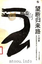 望断归来路 1991 PDF电子版封面 7541105988 王剑著